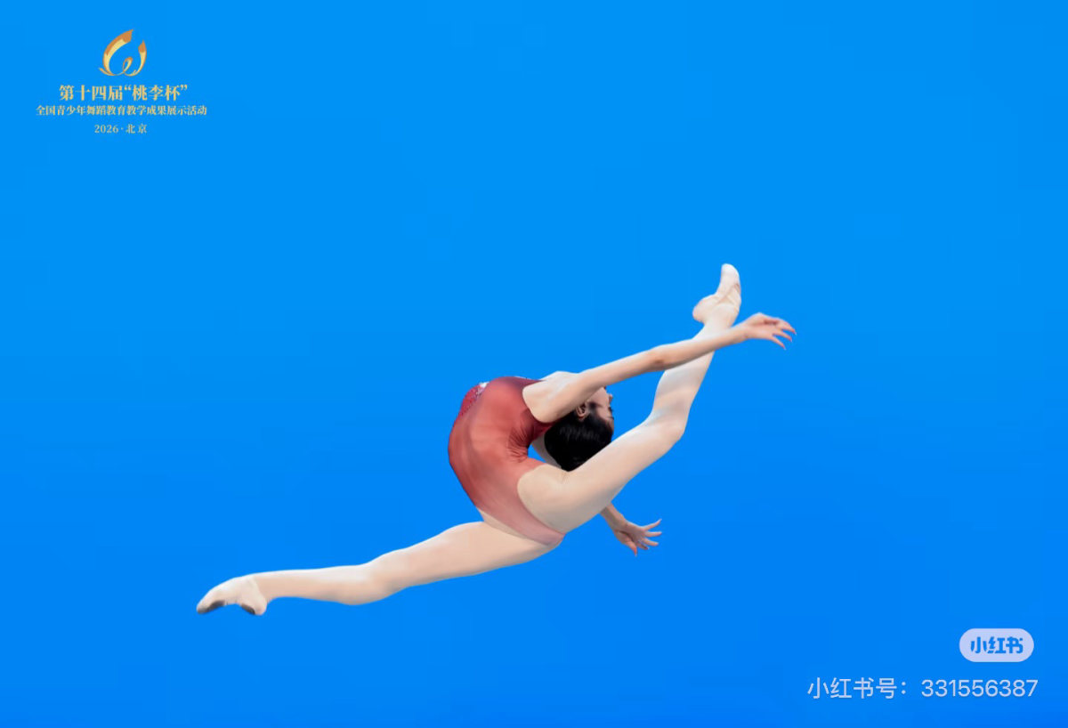 2026 桃李杯技巧组合 剧照
